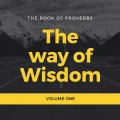 Proverbs: The Way Of Wisdom Cover Artwork