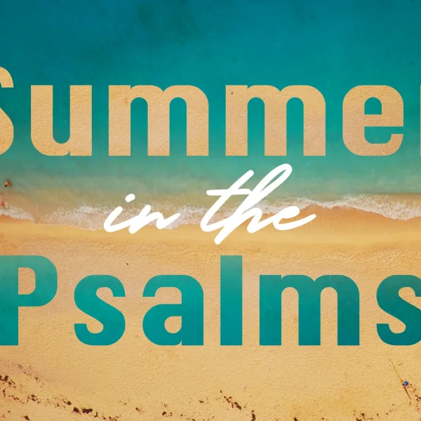 artwork for Summer In The Psalms sermon series