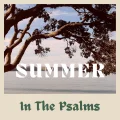 Summer In The Psalms 2024 Cover Artwork